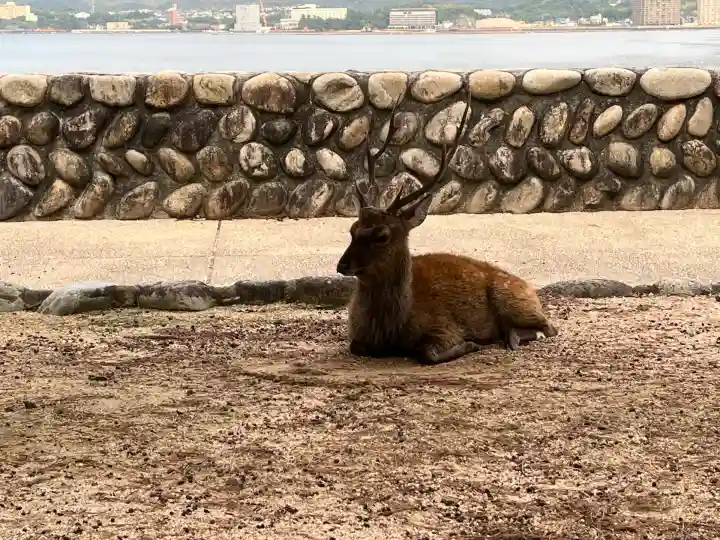 厳島神社(広島県)