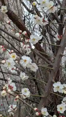 蓮花寺(大阪府)