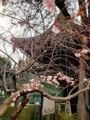 妙法寺(東京都)