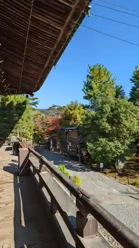 清凉寺(京都府)