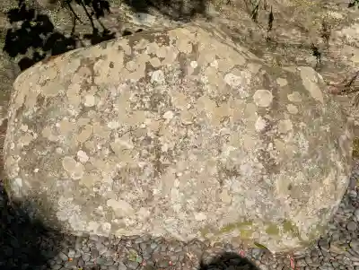 丹生川上神社（中社）の{uncategorized: "未分類", other: "その他", undefined: "問題あり", building: "その他建物", grave: "お墓", sacred_gate: "鳥居", guardian: "狛犬", statue: "像", buddha: "仏像", history: "歴史", nature: "自然", garden: "庭園", animal: "動物", pagoda: "塔", temizu: "手水舎", mountain_gate: "山門・神門", sanctuary: "本殿・本堂", subordinate: "末社・摂社", art: "芸術", scenery: "景色", jizo: "地蔵", ema: "絵馬", goshuin: "御朱印", omikuji: "おみくじ", items: "授与品その他", amulet: "お守り", goshuincho: "御朱印帳", eats: "食事", festival: "お祭り", votive_dance: "神楽", shichigosan: "七五三参", wedding: "結婚式", experience: "体験その他", initially: "初詣", around: "周辺", anti_infection: "感染症対策"}