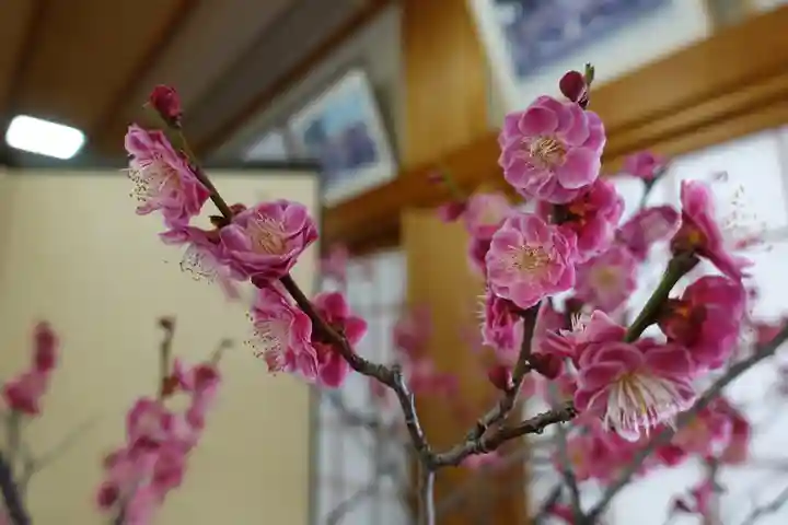 菅原天満宮(菅原神社)(奈良県)