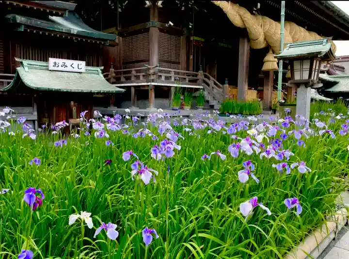 宮地嶽神社の自然