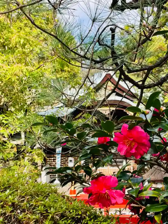 岡崎神社の自然