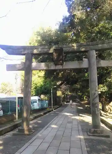 渋谷氷川神社の鳥居