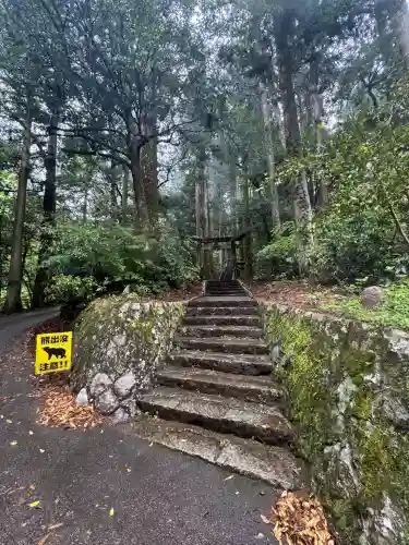 瀧神社(岐阜県)