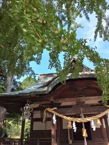賀羅加波神社(広島県)