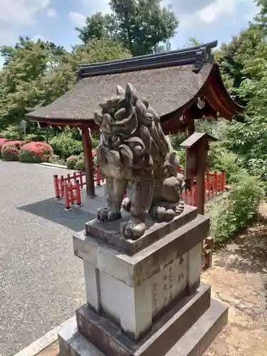 建勲神社の狛犬