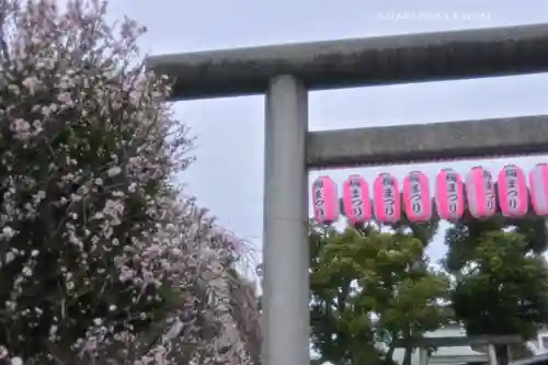 小村井 香取神社(東京都)