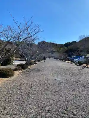 安房神社(千葉県)