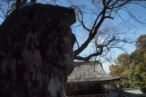 伊奈波神社の狛犬