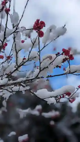 毘沙門堂門跡の自然