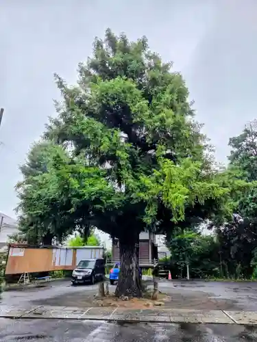 御霊神社(東京都)
