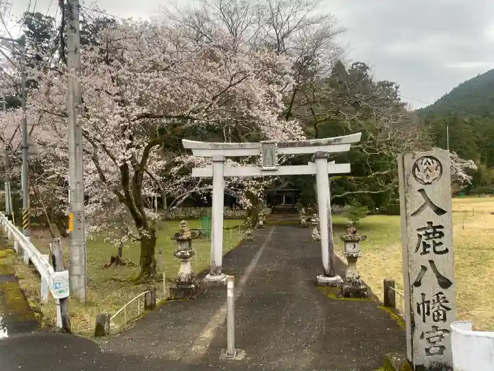 入鹿八幡宮の{uncategorized: "未分類", other: "その他", undefined: "問題あり", building: "その他建物", grave: "お墓", sacred_gate: "鳥居", guardian: "狛犬", statue: "像", buddha: "仏像", history: "歴史", nature: "自然", garden: "庭園", animal: "動物", pagoda: "塔", temizu: "手水舎", mountain_gate: "山門・神門", sanctuary: "本殿・本堂", subordinate: "末社・摂社", art: "芸術", scenery: "景色", jizo: "地蔵", ema: "絵馬", goshuin: "御朱印", omikuji: "おみくじ", items: "授与品その他", amulet: "お守り", goshuincho: "御朱印帳", eats: "食事", festival: "お祭り", votive_dance: "神楽", shichigosan: "七五三参", wedding: "結婚式", experience: "体験その他", initially: "初詣", around: "周辺", anti_infection: "感染症対策"}