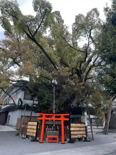 富知六所浅間神社の景色