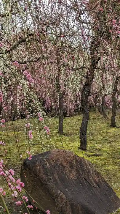 城南宮(京都府)