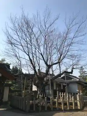 長光寺(滋賀県)