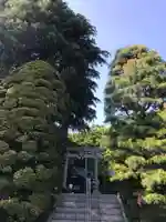 貫井神社の鳥居