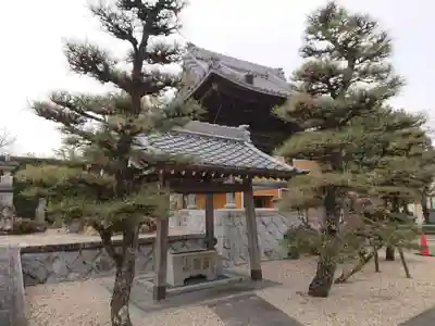 善国寺の手水舎