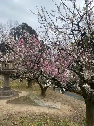 岩津天満宮(愛知県)