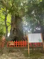 新田神社(鹿児島県)