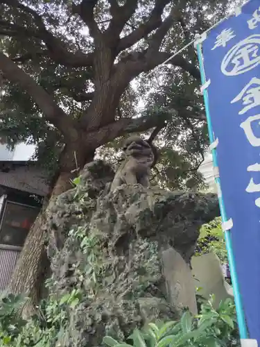 大綱金刀比羅神社の狛犬