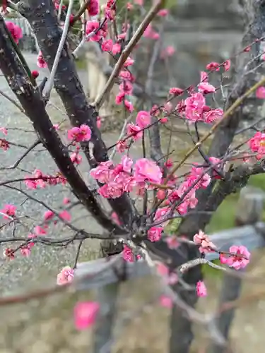 圓鏡寺の庭園