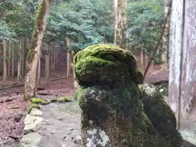 白石神社（若狭彦神社境外末社）の{uncategorized: "未分類", other: "その他", undefined: "問題あり", building: "その他建物", grave: "お墓", sacred_gate: "鳥居", guardian: "狛犬", statue: "像", buddha: "仏像", history: "歴史", nature: "自然", garden: "庭園", animal: "動物", pagoda: "塔", temizu: "手水舎", mountain_gate: "山門・神門", sanctuary: "本殿・本堂", subordinate: "末社・摂社", art: "芸術", scenery: "景色", jizo: "地蔵", ema: "絵馬", goshuin: "御朱印", omikuji: "おみくじ", items: "授与品その他", amulet: "お守り", goshuincho: "御朱印帳", eats: "食事", festival: "お祭り", votive_dance: "神楽", shichigosan: "七五三参", wedding: "結婚式", experience: "体験その他", initially: "初詣", around: "周辺", anti_infection: "感染症対策"}