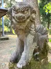 朝日神社の狛犬