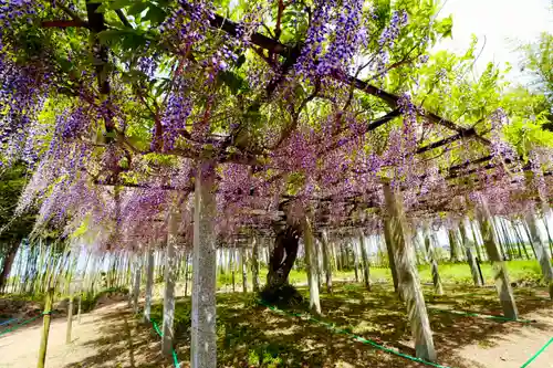 志那神社(滋賀県)