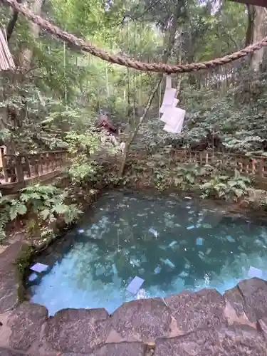 八重垣神社(島根県)