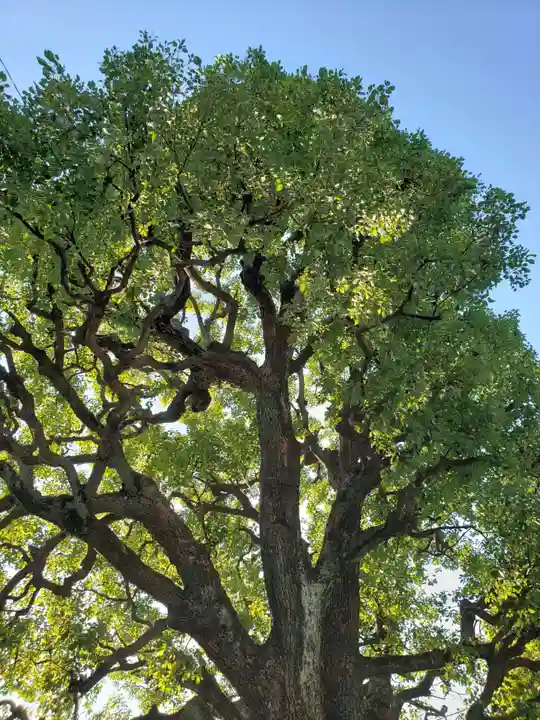 麻布氷川神社(東京都)