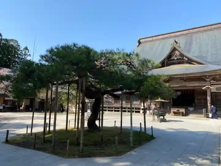 中尊寺(岩手県)