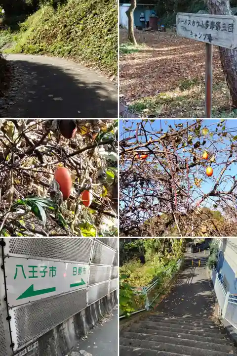 越野日枝神社の周辺