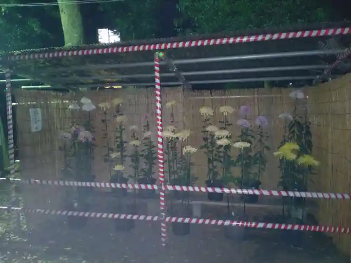 森野住吉神社(東京都)