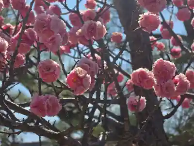 光林寺(大阪府)