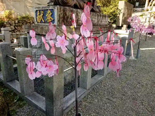 針綱神社のおみくじ