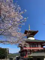 獅子王山妙法寺(佐賀県)