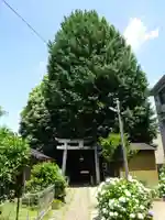 一山神社(埼玉県)
