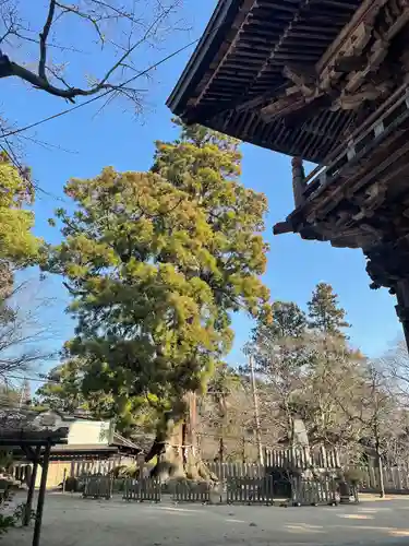 筑波山神社(茨城県)
