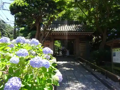 報国寺の山門・神門