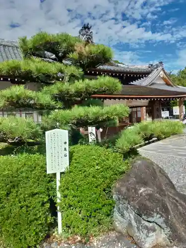 砥鹿神社（里宮）の庭園