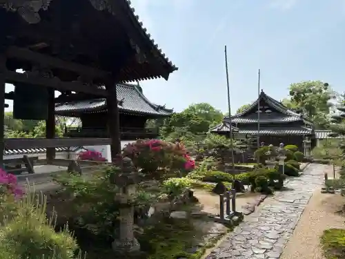 興聖寺（興聖寶林禅寺）の{uncategorized: "未分類", other: "その他", undefined: "問題あり", building: "その他建物", grave: "お墓", sacred_gate: "鳥居", guardian: "狛犬", statue: "像", buddha: "仏像", history: "歴史", nature: "自然", garden: "庭園", animal: "動物", pagoda: "塔", temizu: "手水舎", mountain_gate: "山門・神門", sanctuary: "本殿・本堂", subordinate: "末社・摂社", art: "芸術", scenery: "景色", jizo: "地蔵", ema: "絵馬", goshuin: "御朱印", omikuji: "おみくじ", items: "授与品その他", amulet: "お守り", goshuincho: "御朱印帳", eats: "食事", festival: "お祭り", votive_dance: "神楽", shichigosan: "七五三参", wedding: "結婚式", experience: "体験その他", initially: "初詣", around: "周辺", anti_infection: "感染症対策"}