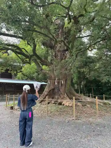 千栗八幡宮(佐賀県)