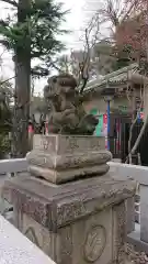 五條天神社の狛犬