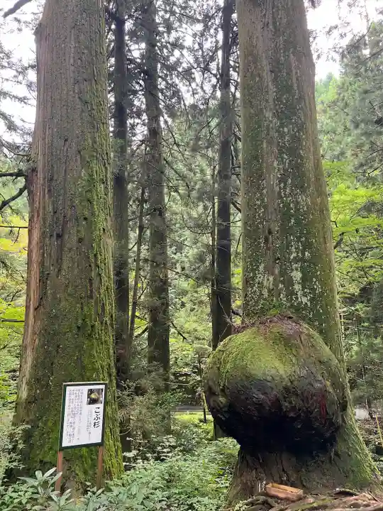 花園神社(茨城県)