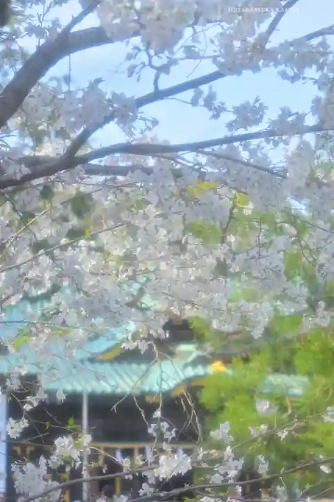 三嶋大社(静岡県)