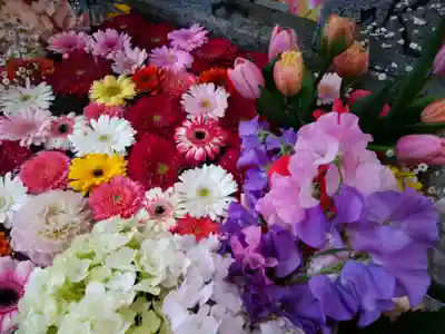 札幌諏訪神社の手水舎