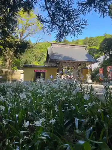 国上寺(新潟県)