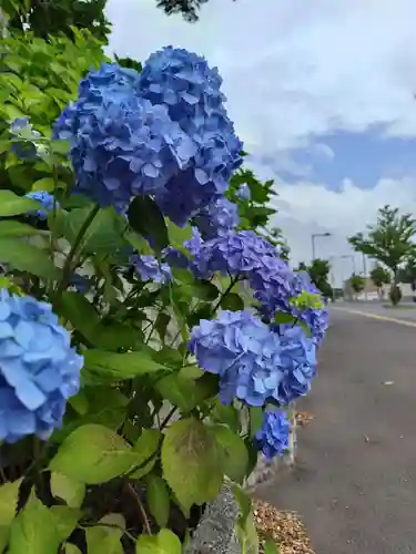 厚別神社(北海道)